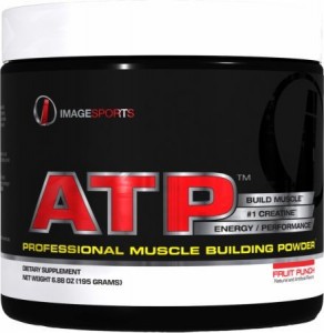 ATP Creatine