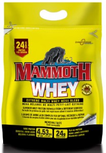 Mammoth whey