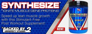 Synthesize supplement
