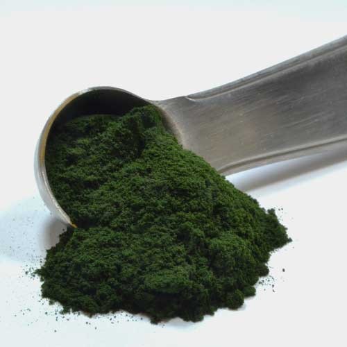 Chlorella