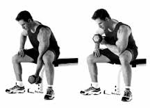 seated bicep curl