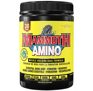 Mammoth Amino