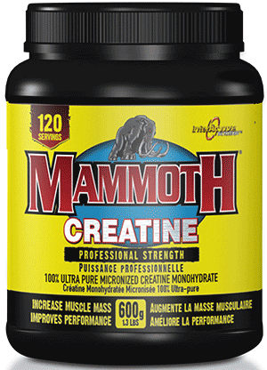 Mammoth creatine