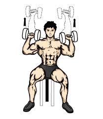 shoulder press met dumbbells