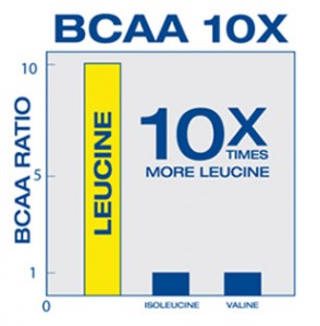 Bcaa 10x