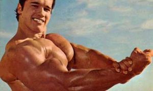 Arnold