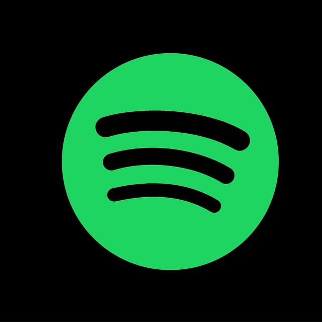 Groei op een slimme manier door goedkope Spotify likes te kopen